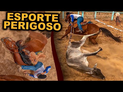 Vaquejada Esporte BRUTO - Vaquejada Januária MG -