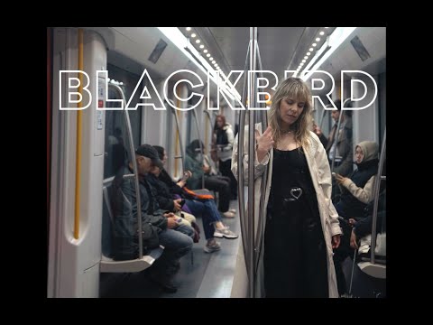 BLACKBIRD - First In Line (Official Video)
