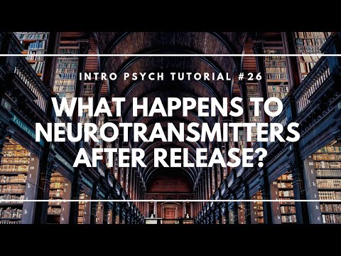 Neuron Structure Parts of a Neuron Intro Psych Tutorial 23