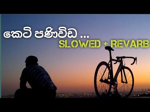 keti panivida (කෙටි පණිවිඩ ) slowed+Revarb #keti #panivida #slowed #reverb #song