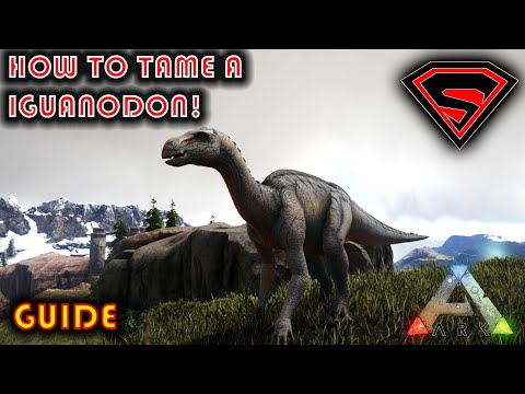 ARK HOW TO TAME A IGUANODON 2020 - EVERYTHING YOU NEED TO KNOW ABOUT TAMING A IGUANODON