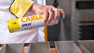 CARLEX® Spray 600 ml