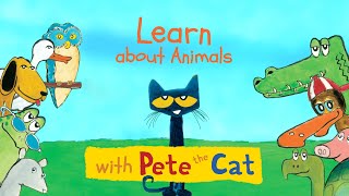 Learn about Animals with Pete the Cat!
