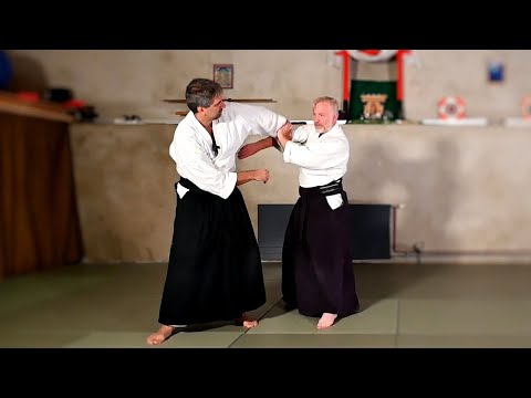 Kaeshi waza: Shomen'uchi ikkyo towards ikkyo - 返し技正面打ち一教に対して一教 (last chance variant)