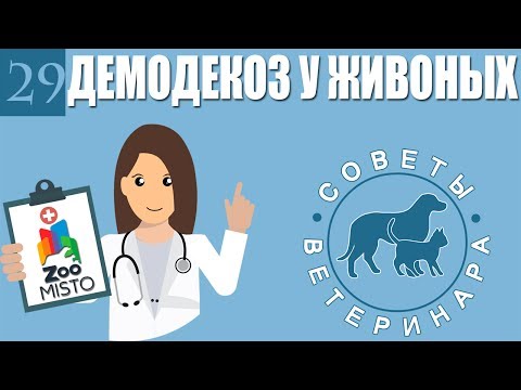 Демодекоз или подкожный клещь у животных | Что такое демодекоз ? | Советы Ветеринара