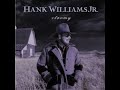 Gibbonsville Gold by Hank Williams Jr