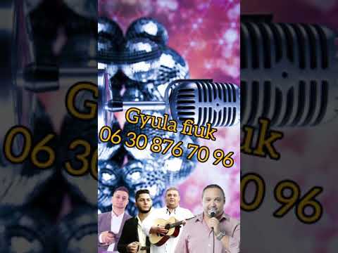 GyulaFiuk 14 | Lacika studio |