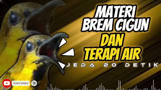 Download lagu MASTERAN SOGON MATERI BREM CIGUN DAN TERAPI AIR JEDA 20 detik!!! #sogon #sogongacor #sogokontong mp3 Download lagu MASTERAN SOGON MATERI BREM CIGUN DAN TERAPI AIR JEDA 20 detik!!! #sogon #sogongacor #sogokontong mp3