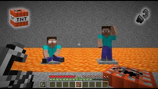 I saved Herobrine and Steve...