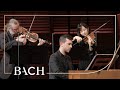 Bach - Harpsichord concerto in A major BWV 1055 - Corti | Netherlands Bach Society