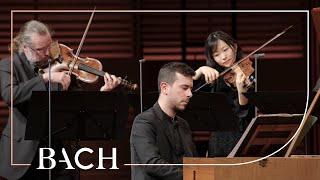 Bach/Vinnitskaya Potsdam - Pianoconcert BWV 1055 video