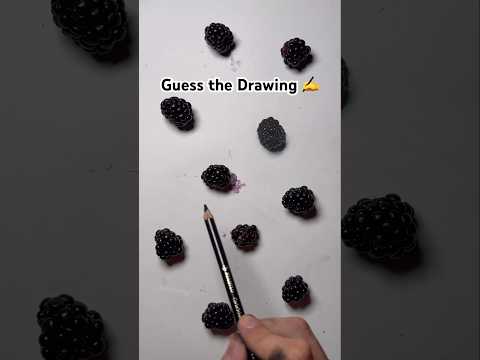 Did you Find the Blackberry Drawn?! 🤔 #artistomg #realism #drawing