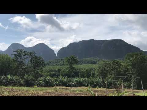 Over 16 Rai of Land with Beautiful Mountain Views Near Phang Nga Town - Urgent Sale