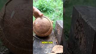 Download lagu Rahasia Minyak Kelapa Murni yang Dibuat Tanpa Dimasak! #shortsviral #faktaunik mp3