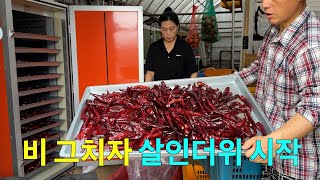 비가 주춤하니 살인더위 바로 시작