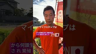 動物愛護どうやって進めるか？#動物愛護#社会調査# #参政党 #津幡町