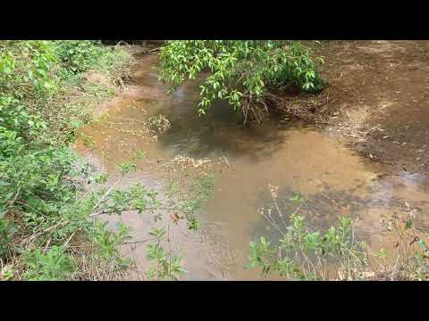 Chácara a partir de 1.000M2  16.000 de Entrada Parcelo o Restante 20 km de Goiânia 62 9 8141-4270 