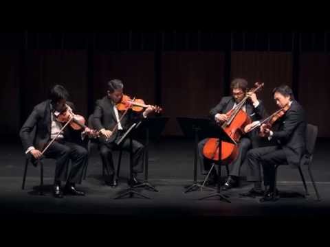Franz Schubert： Quartettsatz in C-moll, D. 703