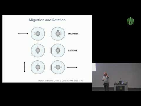 EMBL Keynote Lecture - Career talk, Anthony Hyman
