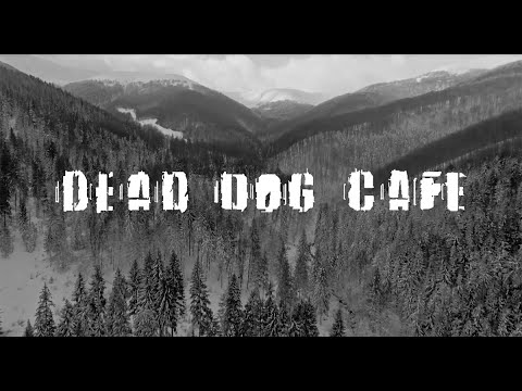 DEAD DOG CAFE Water's Skin official music video