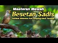 BESETAN SADIS FULL PANJANG ROLL TEMBAK JEDA JERNIH MUDAH MASUK Masteranburung