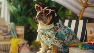 FirstBank Bank Like Penny | Spanish