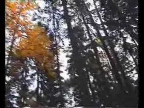 Kozeny Hrdla - The Podzimni nalada song