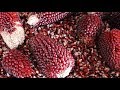 Strawberry Popcorn From Garden To Table
