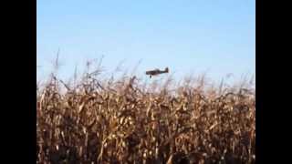 preview picture of video 'Cropduster over Cornfield'