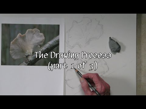 Quick Tip 542 - The Drawing Process (part 1 of 3)