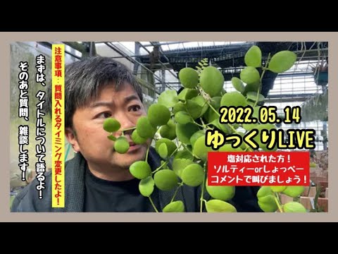 ビールで植物に水をやるのは良い考えですか?どうやってうまく活用すればいいのでしょうか？  庭園