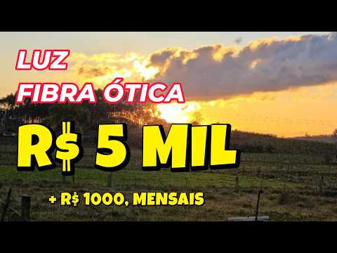 Vídeo