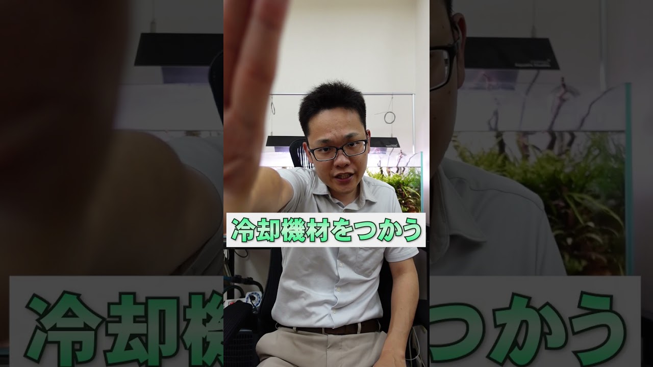 夏場の高水温でメダカを釜揚げにしないための動画 #アクアリウム #メダカ