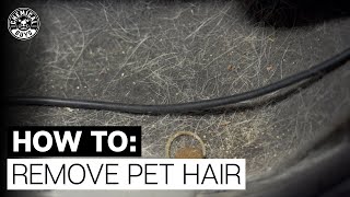 Easiest Way to Remove Pet Hair in Seconds - Chemicals Guys