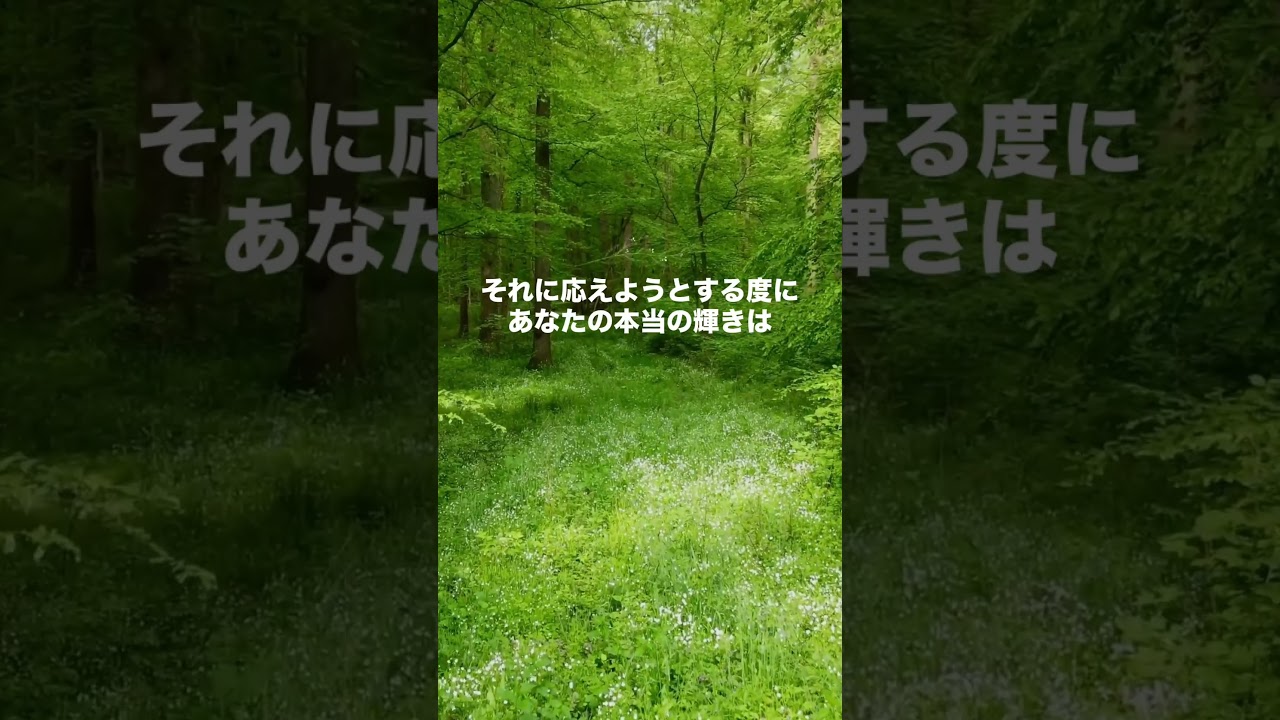 見た時がタイミング✨何が正解かって？あなたの感覚が正解だよ☺️✨