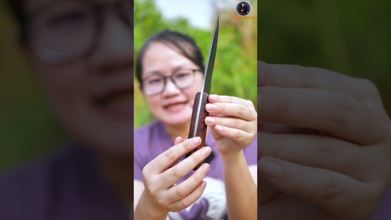 Dao thái lọc nhíp xe DR02LC