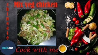 Chineese style mix vegitable chicken recipe