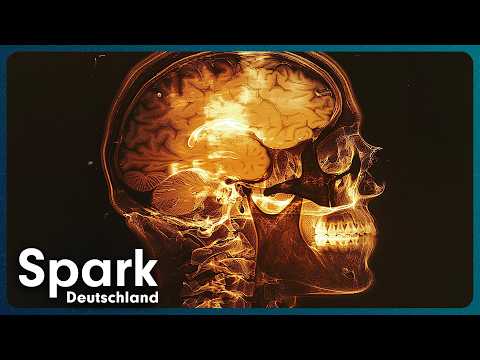 Dangerous imbalance? How our brain manipulates reality