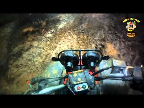 295.DEČKI ŽUTNICE -  Trio Rio