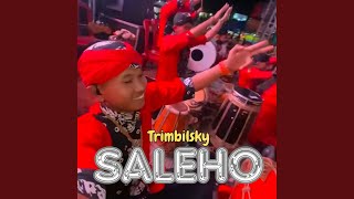 Download lagu Saleho mp3