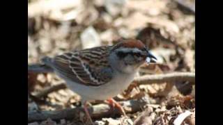 Fuck you I&#39;m drunk