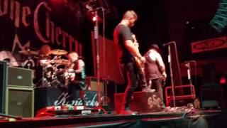 Black stone cherry in my blood