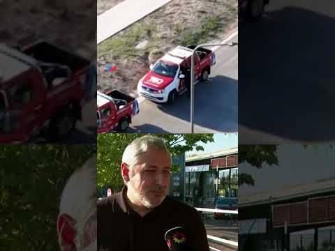 NORDELTA: así trasladaron a los carpinchos hacia una reserva en San Fernando