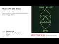 Steve Hillage - Musick Of The Trees   1978