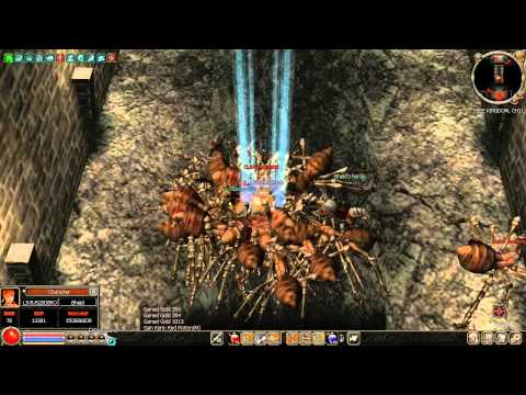 Metin2 US - Evolution (Complete)