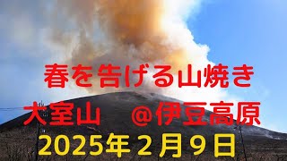 大室山の山焼き