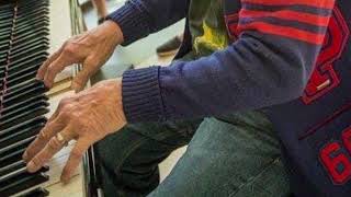 Alice Cooper (isolated instrumental track) Beautiful Flyaway