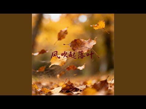 风吹起落叶（女声版）