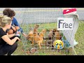 ABANDONED PUPPIES FOUND DUMPED IN PARKING LOT WHAT HAPPENED