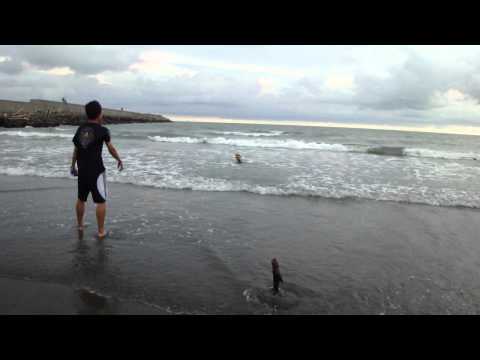 小新第一次海邊玩樂去(原發表者:小新媽)(影片)